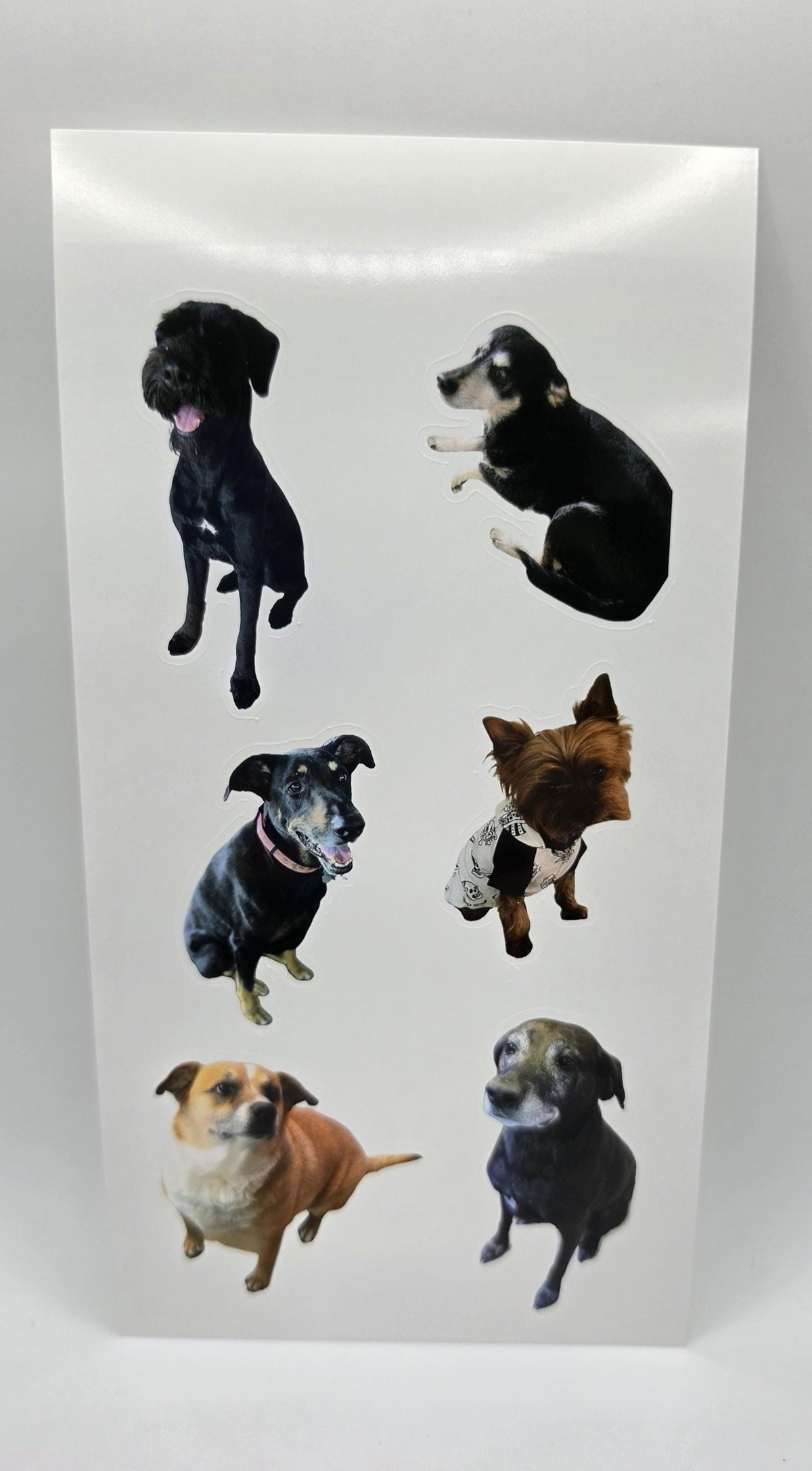 Custom Sticker Sheet 4x7 — Your Photos, Logo, or Team Design