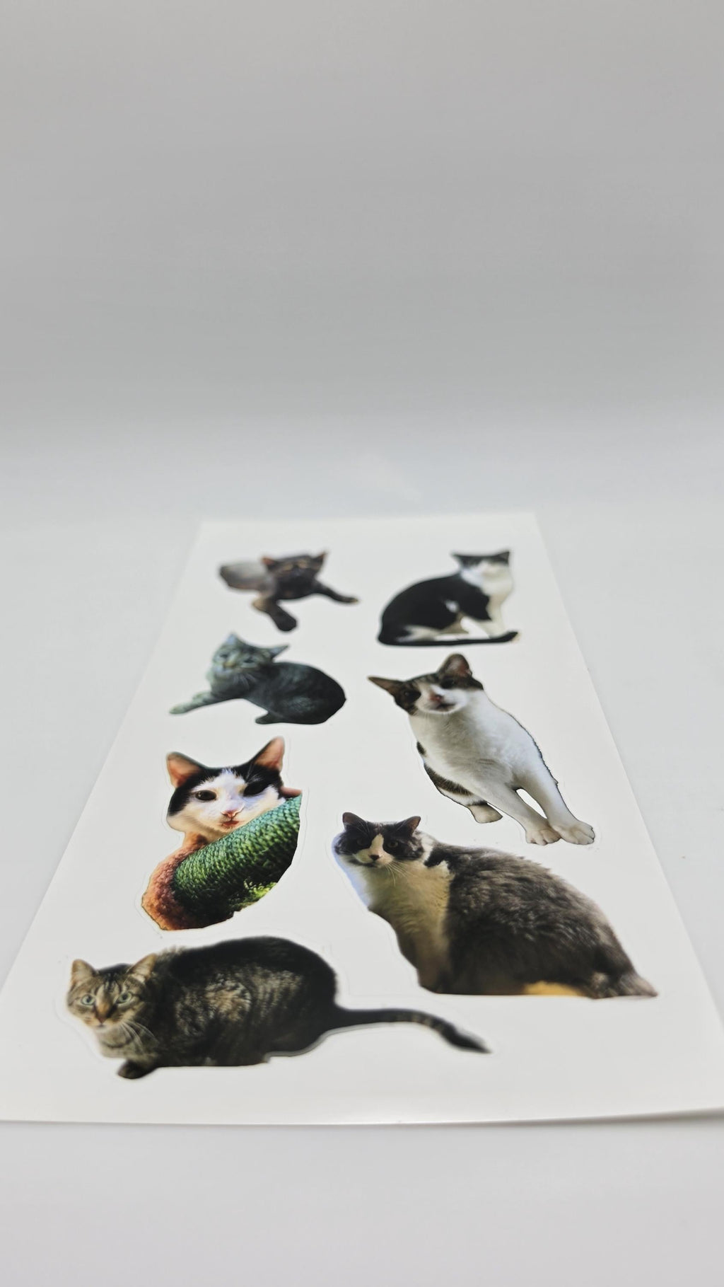 Custom Sticker Sheet 4x7 — Your Photos, Logo, or Team Design