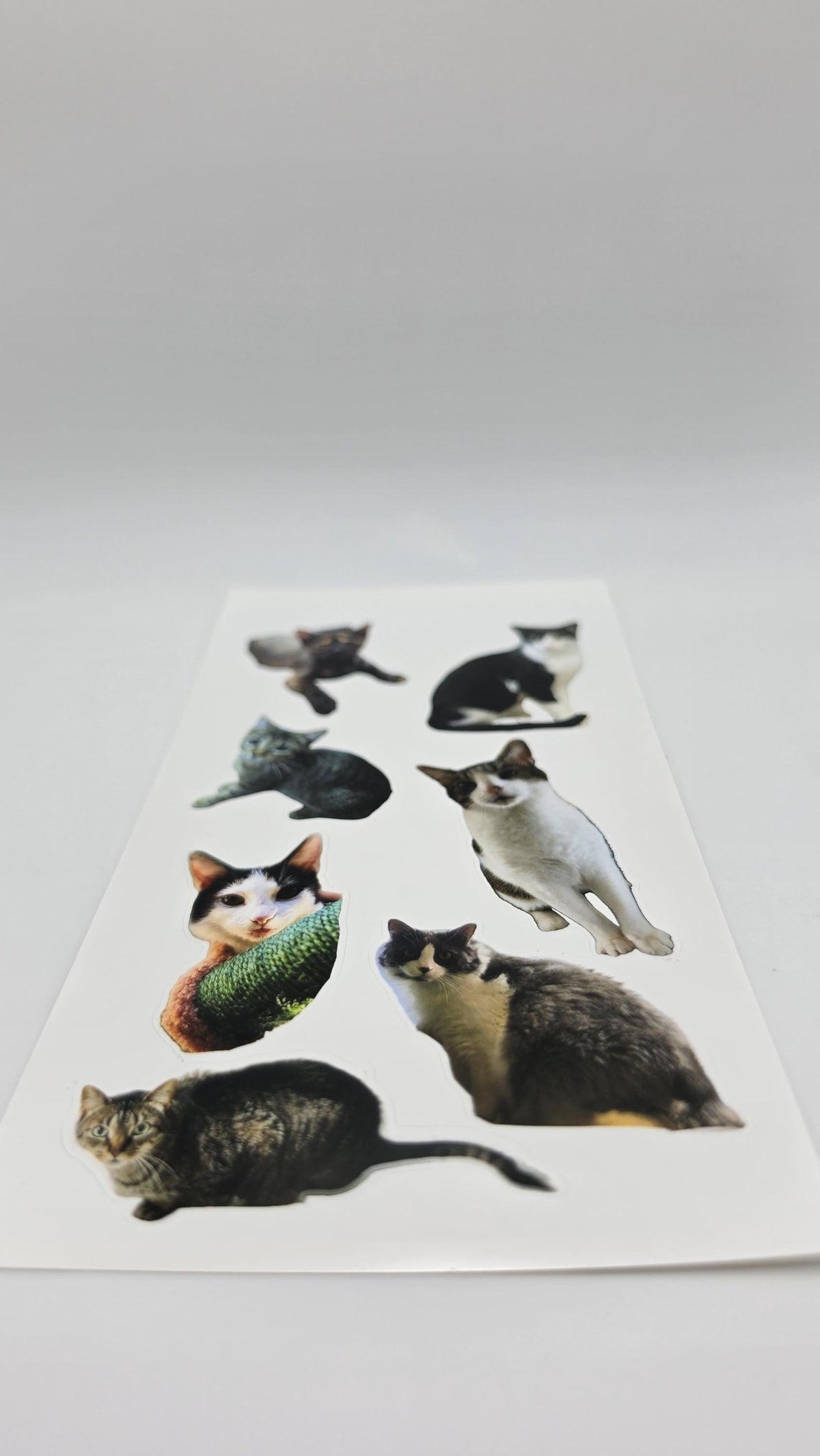 Custom Sticker Sheet 4x7 — Your Photos, Logo, or Team Design