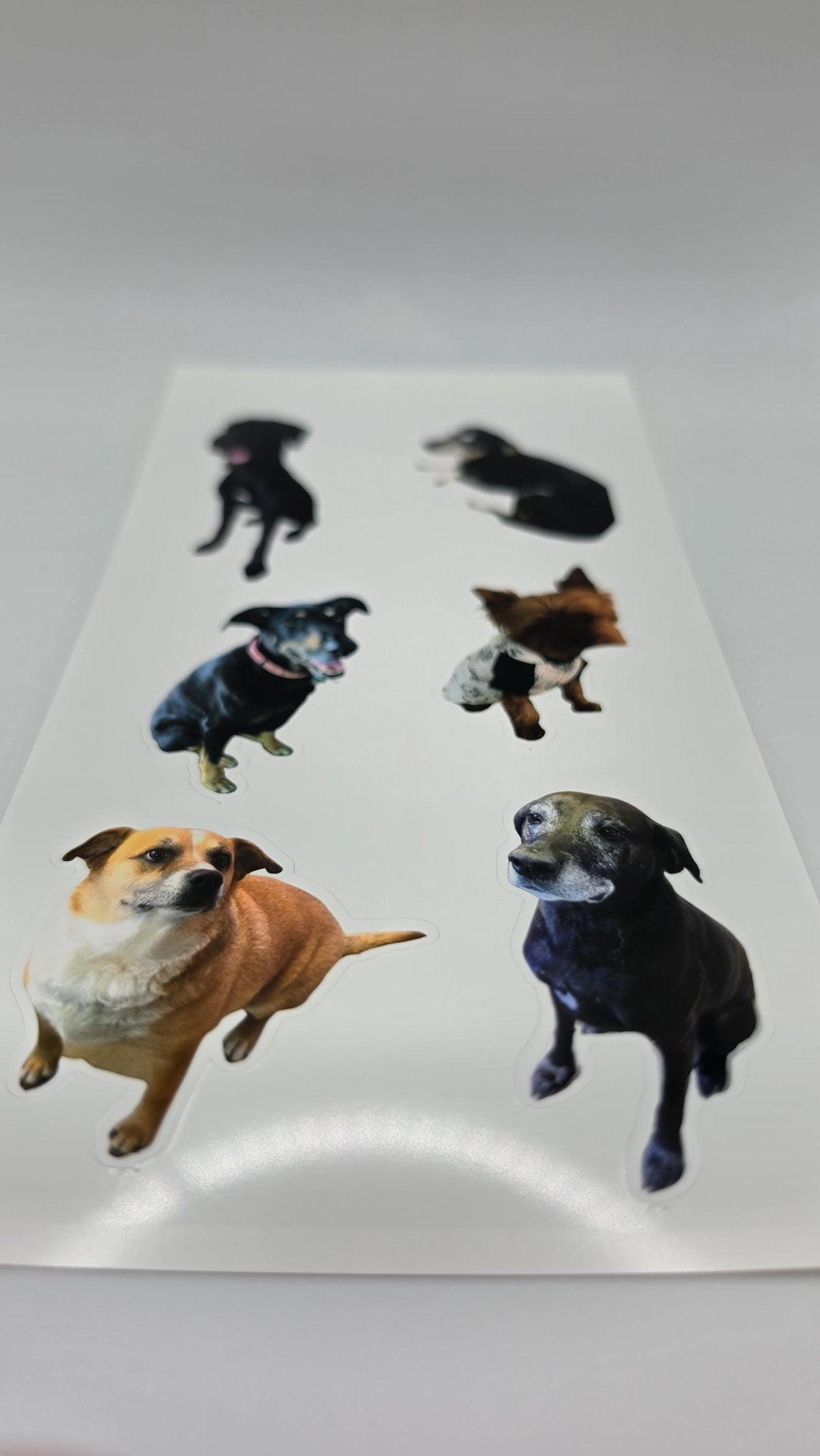 Custom Sticker Sheet 4x7 — Your Photos, Logo, or Team Design