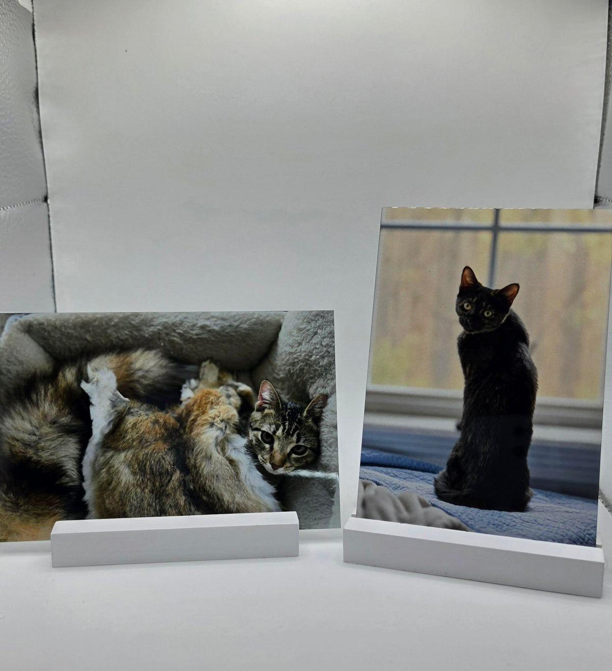4x6 Custom Metal Photo Print
