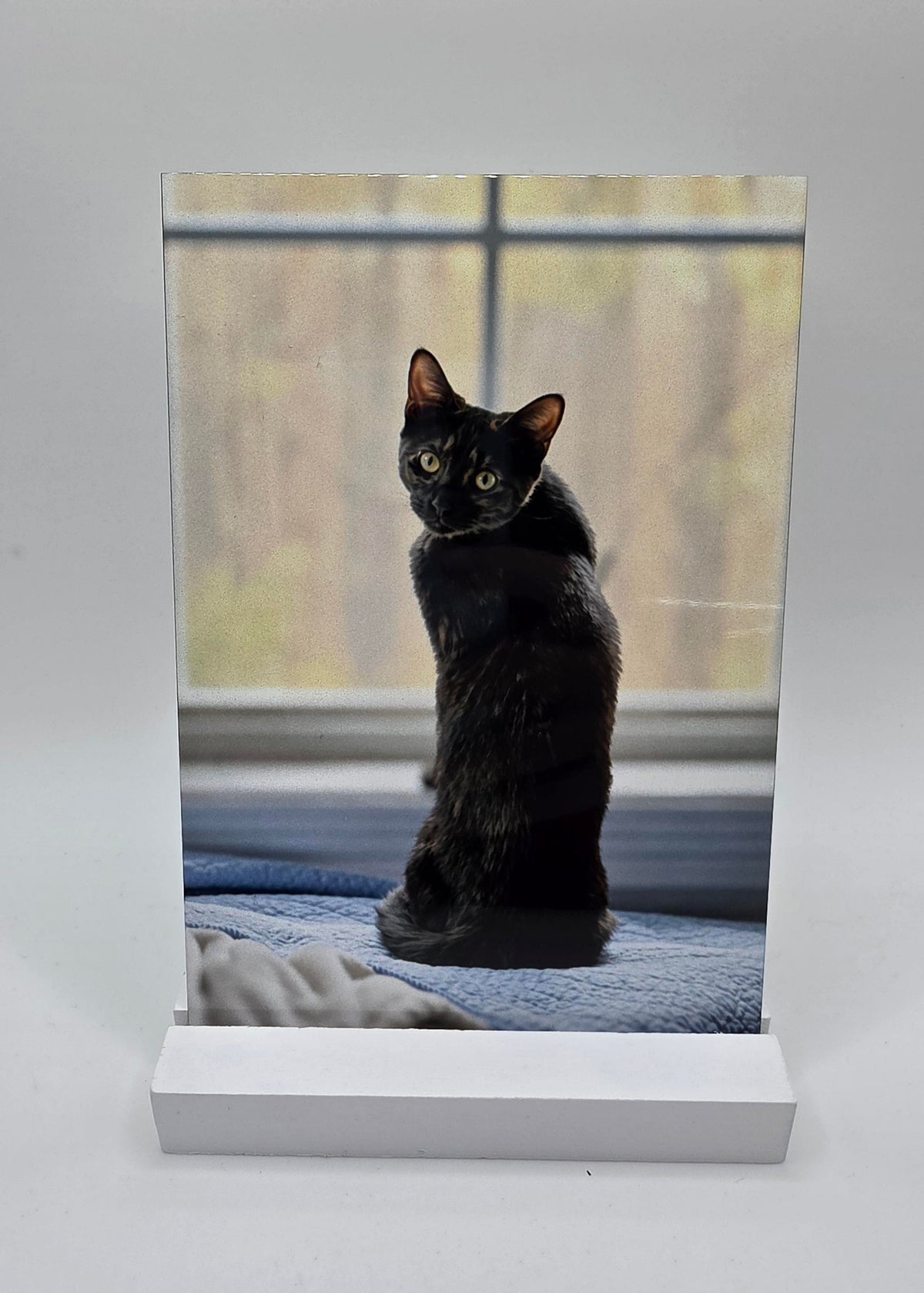 4x6 Custom Metal Photo Print