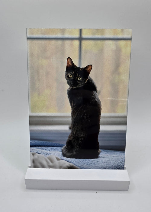 4x6 Custom Metal Photo Print