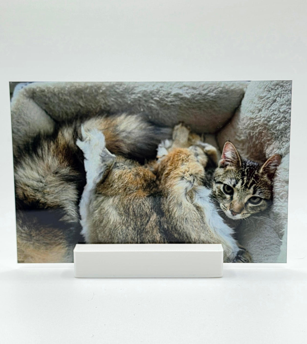 4x6 Custom Metal Photo Print