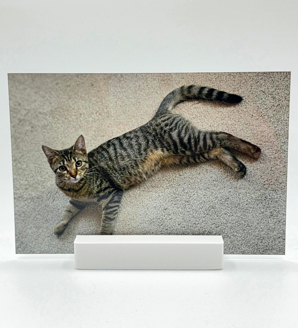 4x6 Custom Metal Photo Print