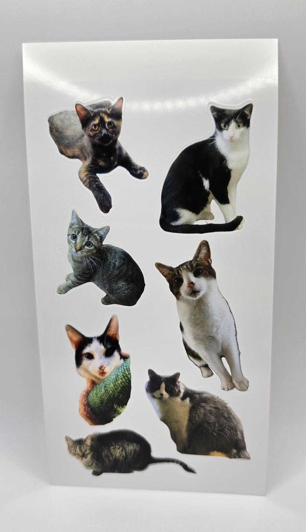 Custom Sticker Sheet 4x7 — Your Photos, Logo, or Team Design