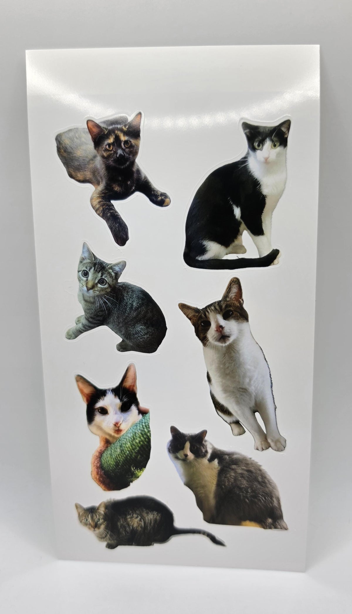 Custom Sticker Sheet 4x7 — Your Photos, Logo, or Team Design